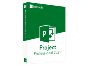 Project 2021 Profesional