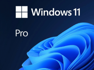 Windows 11 Pro